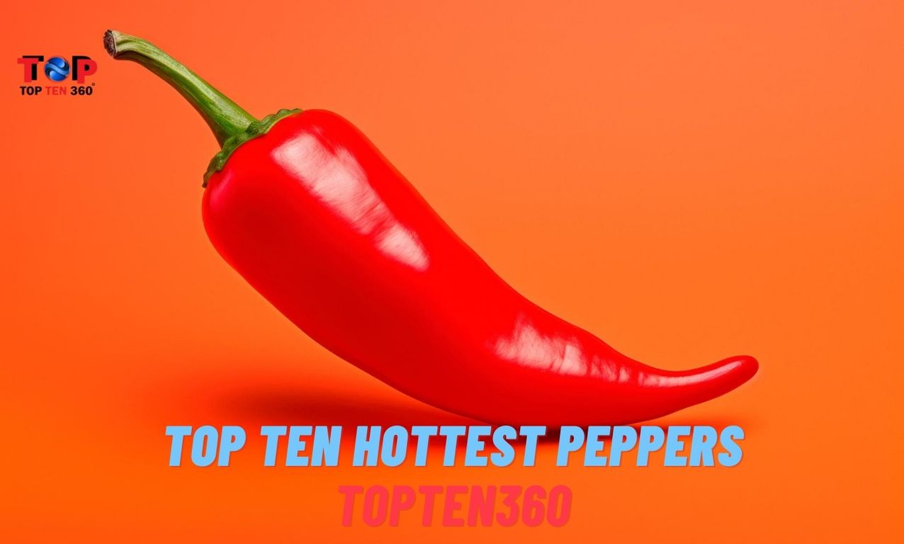 Top Ten Hottest Peppers | TopTen360